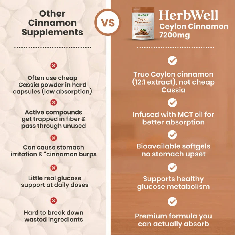 HerbWell Ceylon Cinnamon 7200mg Equivalent with MCT Oil