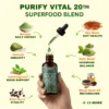 Purify Soursop Moringa Seamoss Turmeric Liquid Drops