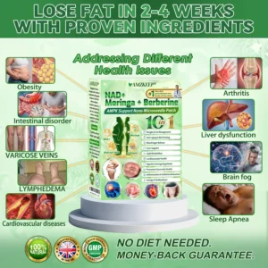 Amzkeep NAD+ Moringa Berberine AMPK Support Patch