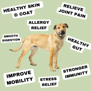 Pure Paw Labs DA-01 Daily All-In-One Dog Supplement