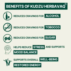 HerbavaQ Kudzu Food Supplement for Cravings and Serenity