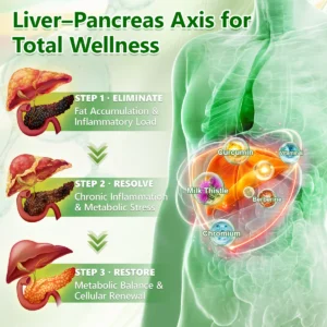 Amzkeep NAD+ Moringa Berberine AMPK Support Patch